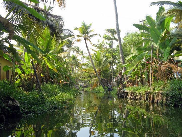 Alapatt Homestay Alappuzha 외부 사진
